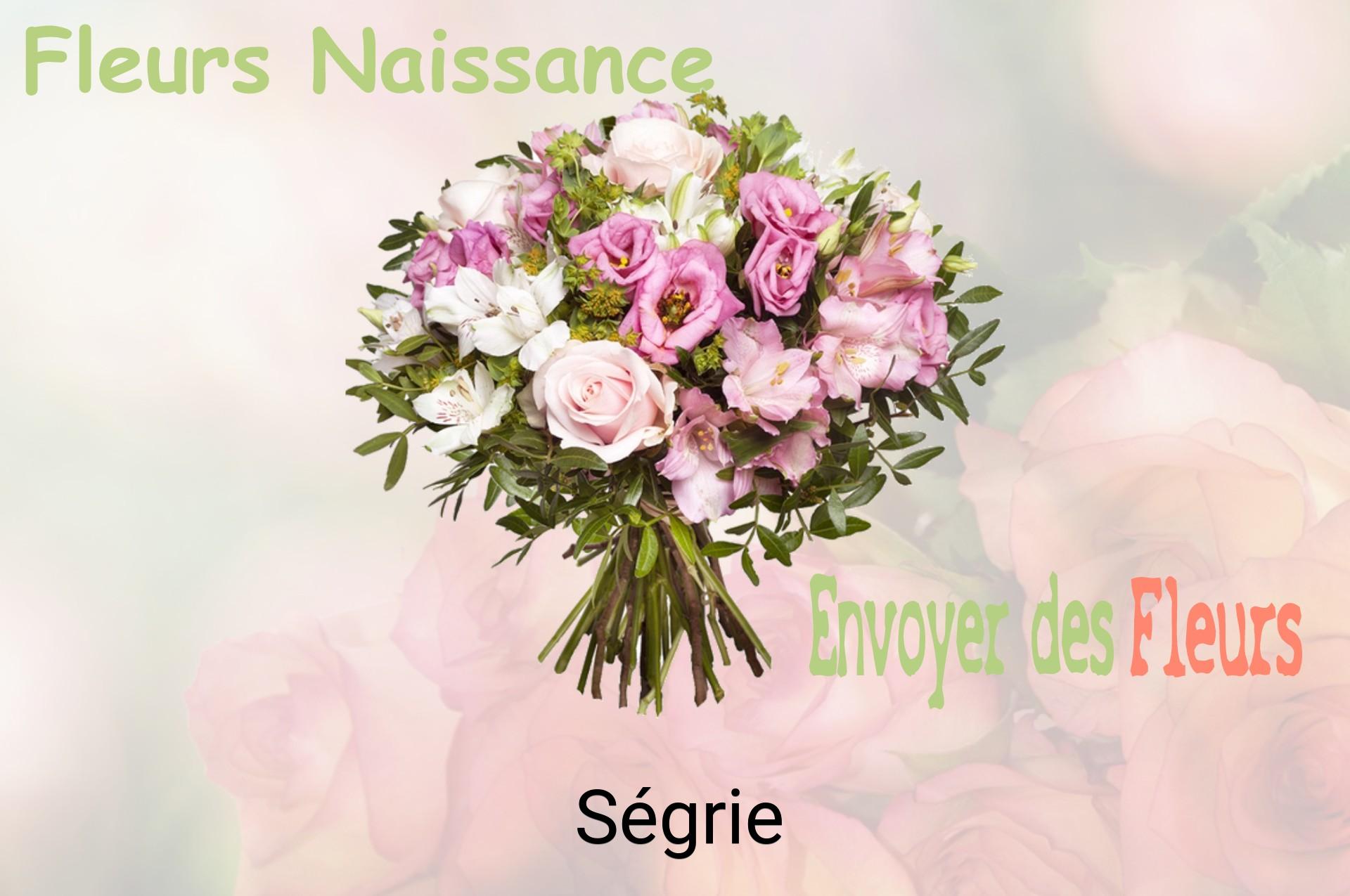 Bouquet de fleurs de naissance livré à Ségrie