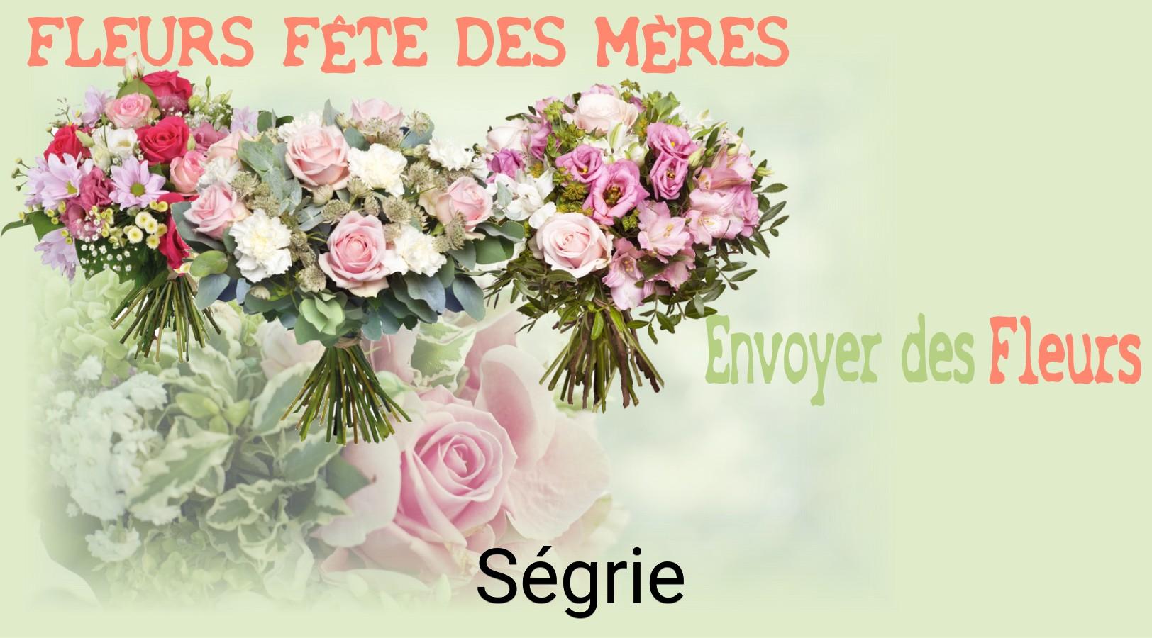 Bouquet de Fête des Mères livré à Ségrie